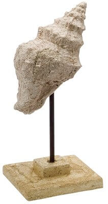 Decorative Stone Cast Trumpet Shell on Stand Nautical SculptureBeach Decor,Collectible Figurines,Home,Nautical Decor,Nautical Decoration,Nautical Decorations,Nautical Home Decoration,Nautical Wall Decor,SH,spreadr-hidden,Tropical Items
