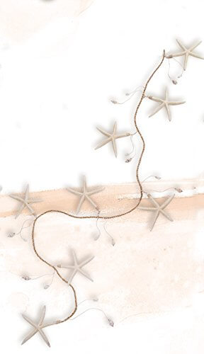 7.5" Starfish w/ Shells Rope GarlandBeach Decor,Garlands,Home,HS,Nautical Decor,Nautical Decoration,Nautical Wall Decor,Ship Decor,spreadr-hidden,Tropical Items