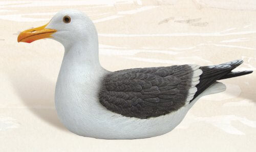 Sitting Seagull Nautical DecorationBeach Decor,Collectible Figurines,Home,Nautical Decor,Nautical Decoration,Nautical Decorations,Nautical Home Decoration,SH,spreadr-hidden,Tropical Items