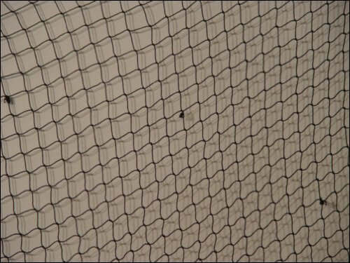 SH 10' x 10' Black Decorative Fish NettingArea Rugs,Beach Decor,Furniture,Nautical Decor,Nautical Decoration,Nautical Decorations,Nautical Home Decoration,SH,spreadr-hidden,Tropical Items