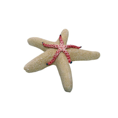 Set of 3 Nautical Wood Piling Decorations with Stunning Starfish– Real Wooden Pier Posts for Coastal, Marine, or Nautical Decor - Huge 5” Diameter Stumps for Beach Home Decor