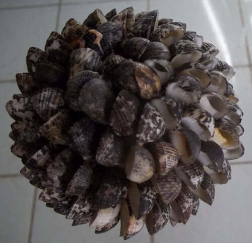 Shell Balls Handcrafted Decorative Seashell Ball for Coastal Decor – DRH Nauticals
